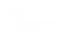 team-member